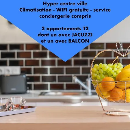 L'ile De La Breche Apartment Niort